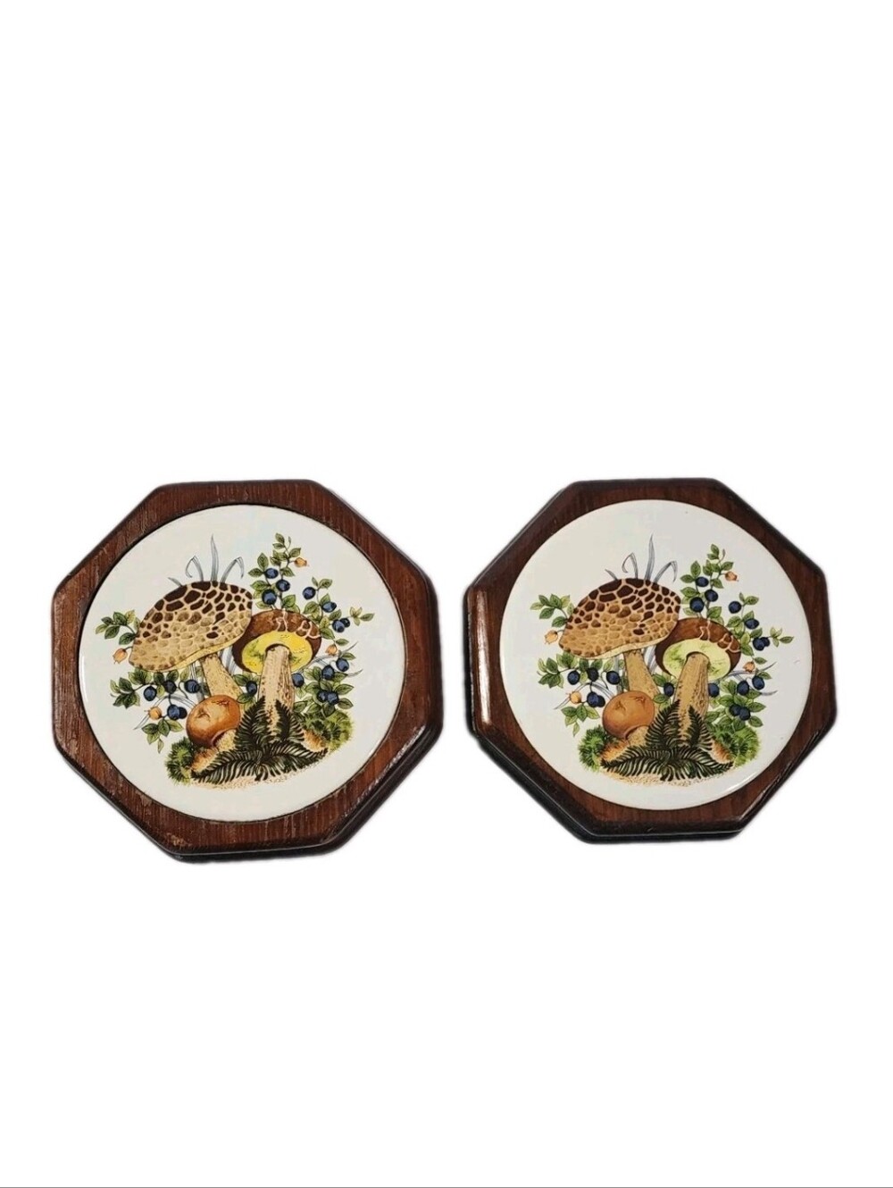 2 Mushroom Mushrooms Trivet Set Trivets MCM Thick Wood Base Hanging Decor 7-7.5"